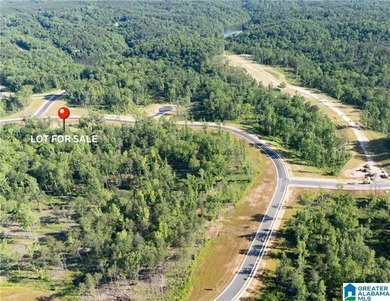 Lake Tuscaloosa Lot For Sale in Tuscaloosa Alabama