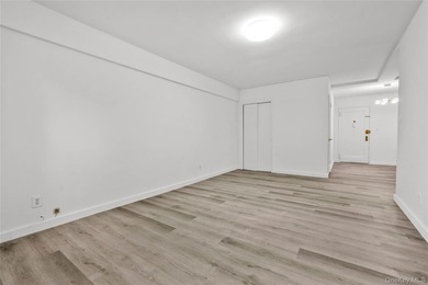 North Flushing - Fully Renovated 1-Bedroom Co-op; Move right - photo 5