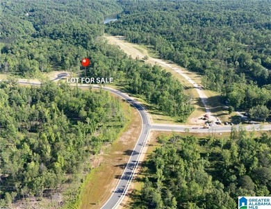 Lake Tuscaloosa Lot For Sale in Tuscaloosa Alabama