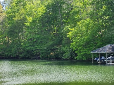 Lake Lot For Sale in Moneta, Virginia