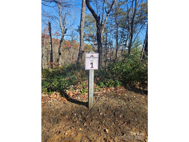 ***Price Below Tax Value!*** Build your mountain retreat in - photo 2