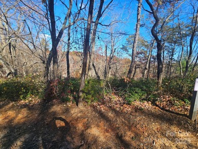 ***Price Below Tax Value!*** Build your mountain retreat in - photo 3