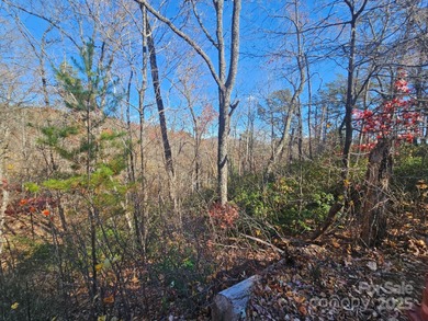 ***Price Below Tax Value!*** Build your mountain retreat in - photo 4