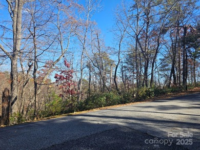 ***Price Below Tax Value!*** Build your mountain retreat in - photo 5