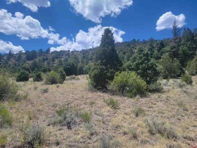 (private lake, pond, creek) Lot For Sale in South Fork Colorado