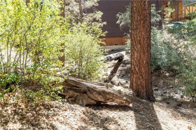 Big Bear Lake Lot For Sale in Sugarloaf California