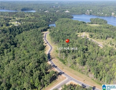 Lake Tuscaloosa Lot For Sale in Tuscaloosa Alabama