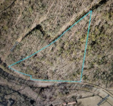 Nottely River Acreage For Sale in Blairsville Georgia