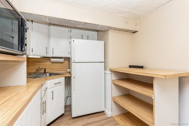 Exceptional investment or owner-occupant opportunity in the - photo 6