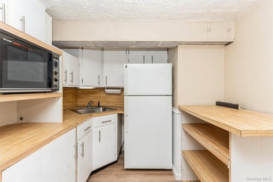Exceptional investment or owner-occupant opportunity in the - photo 8