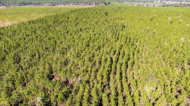 (private lake, pond, creek) Acreage For Sale in Defuniak Springs Florida