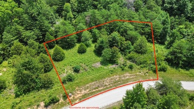 Build your dream vacation home or investment property in the - photo 1