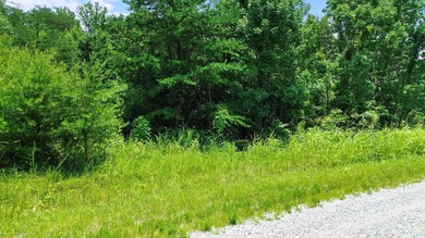 Build your dream vacation home or investment property in the - photo 2