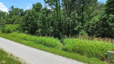 Build your dream vacation home or investment property in the - photo 3