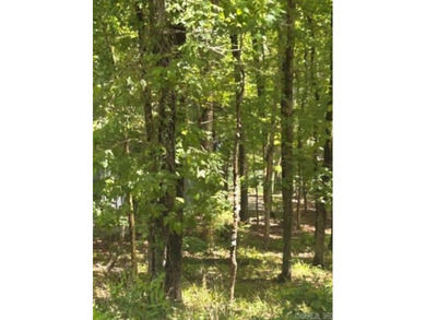 Lake Cortez Lot For Sale in Hot Springs Village Arkansas