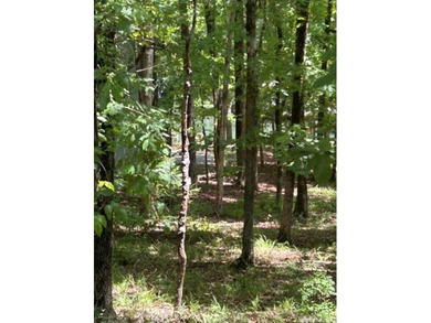Don't miss your opportunity to own property on beautiful Lake - photo 2