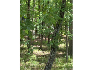 Don't miss your opportunity to own property on beautiful Lake - photo 4