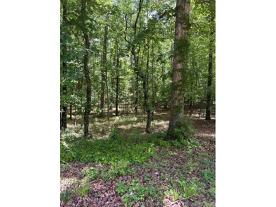 Don't miss your opportunity to own property on beautiful Lake - photo 5