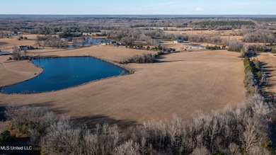 Peaceful, country living within minutes of Flora and the Town of - photo 2