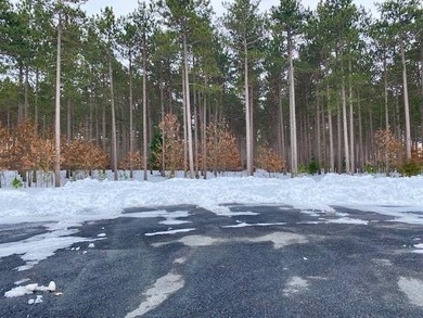Castle Rock Lake Lot For Sale in Friendship Wisconsin