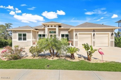 Welcome to your waterfront, DIRECT GULF ACCESS (no bridges) - photo 4