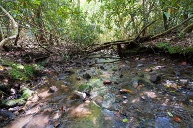 Lake Chatuge Acreage For Sale in Hayesville North Carolina