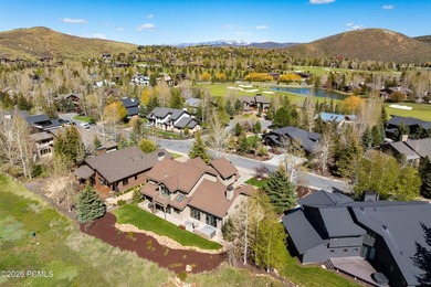 There aren't many homes where you can watch a golf shot land - photo 44