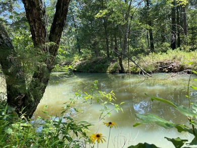 Mountain Retreat on 5 Acres in Moyers. Escape to the beauty and - photo 45