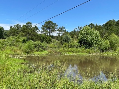 Mountain Retreat on 5 Acres in Moyers. Escape to the beauty and - photo 46