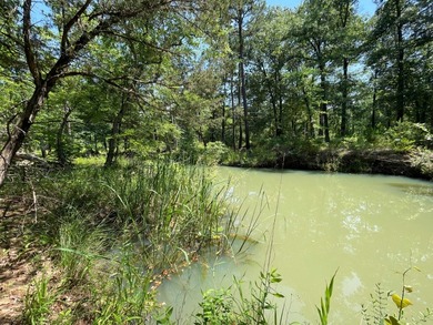 Mountain Retreat on 5 Acres in Moyers. Escape to the beauty and - photo 49