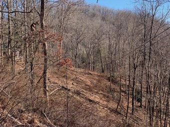 Lake Lot Sale Pending in Sylva, North Carolina