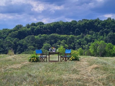 Lake Lot For Sale in Hardy, Virginia