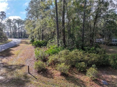 Gated coastal Georgia lot with community pool, clubhouse, dock - photo 12