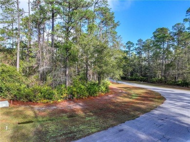 Gated coastal Georgia lot with community pool, clubhouse, dock - photo 15