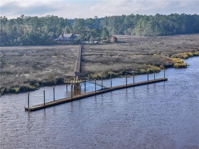 Gated coastal Georgia lot with community pool, clubhouse, dock - photo 20