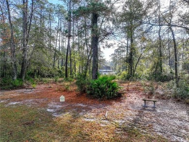 Gated coastal Georgia lot with community pool, clubhouse, dock - photo 21