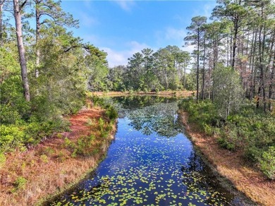 Gated coastal Georgia lot with community pool, clubhouse, dock - photo 22