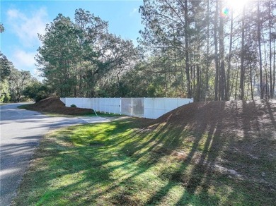 Gated coastal Georgia lot with community pool, clubhouse, dock - photo 23