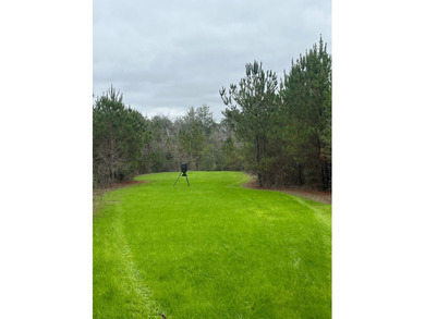 (private lake, pond, creek) Acreage For Sale in Buckatunna Mississippi