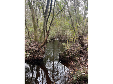 LOCATED IN WAYNE COUNTY, MISSISSIPPI, ROUGHLY NINE MILES - photo 3