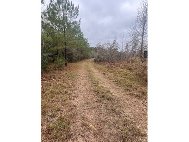 LOCATED IN WAYNE COUNTY, MISSISSIPPI, ROUGHLY NINE MILES - photo 4