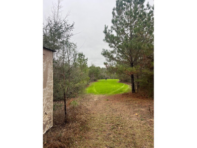 LOCATED IN WAYNE COUNTY, MISSISSIPPI, ROUGHLY NINE MILES - photo 7