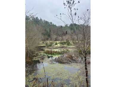 LOCATED IN WAYNE COUNTY, MISSISSIPPI, ROUGHLY NINE MILES - photo 9