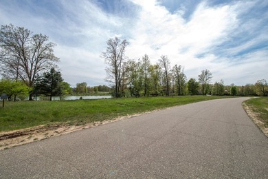 Lakefront lots will soon be a thing of the past at this pace - photo 4