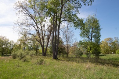 Lakefront lots will soon be a thing of the past at this pace - photo 5