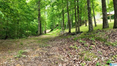 Lake Acreage For Sale in Ashville, Alabama