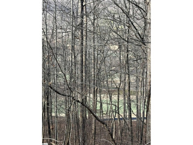 If you are looking for a secluded area with privacy, mountain - photo 11