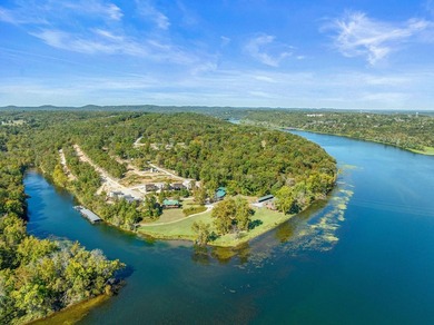 Taneycomo Treehouse right on the shores of Lake Taneycomo. Fully - photo 22
