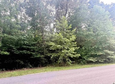 Discover Your Dream Home Site on Kentucky Lake! Nestled on 1.26 - photo 2