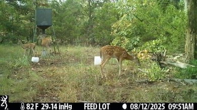 Tucked away in the trees just minutes from Lake Eufaula, this 2 - photo 22